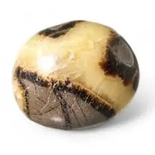 Septaria (Galet)